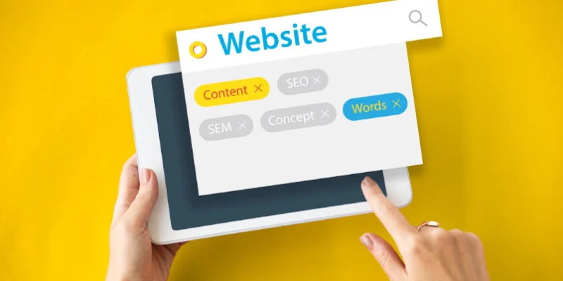 Cara Mengecek Domain Authority, Panduan Terbaik